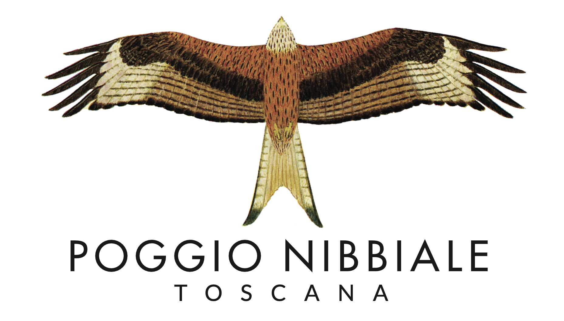 Poggio Nibbiale